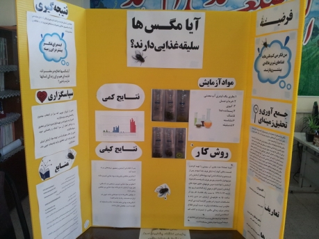 برگزاری کارگاه آموزشی جشنواره جابر بن حیان